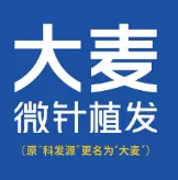 青岛大麦植发